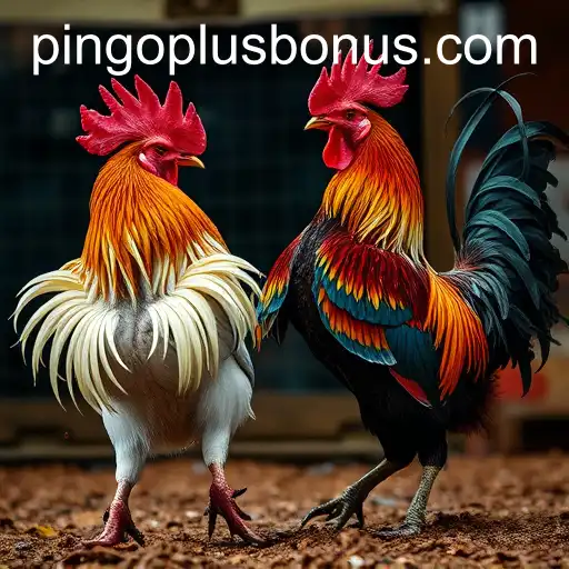 The Attraction and Evolution of Sabong Games in the Digital Age